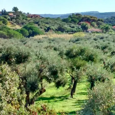 Il Salice Bed & Breakfast