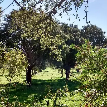 Bed & Breakfast Il Salice