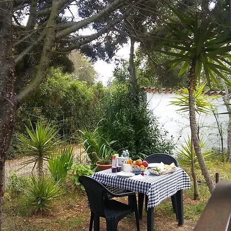 Bed & Breakfast Il Salice