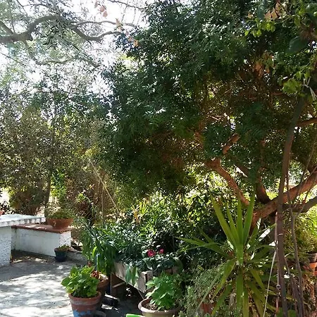 Bed & Breakfast Il Salice *