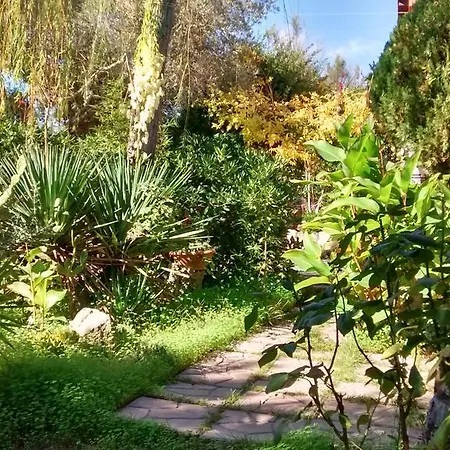 Il Salice Alghero