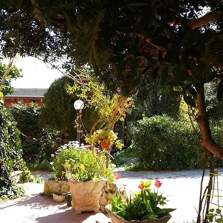 Frühstückspension Il Salice Alghero