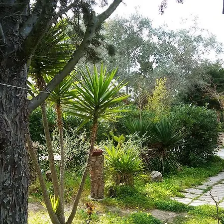 Il Salice Frühstückspension Alghero